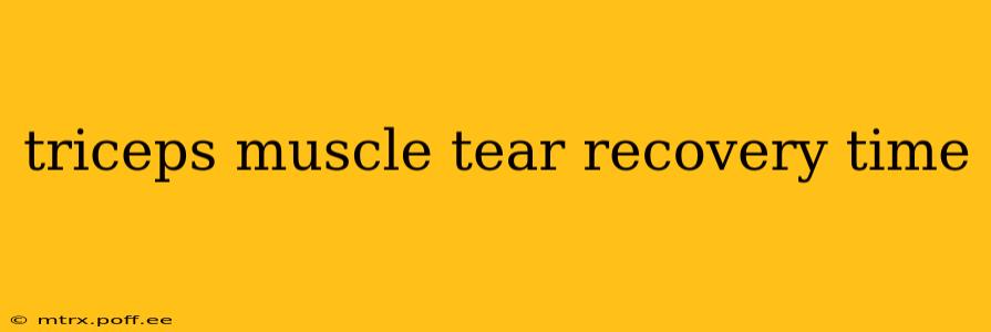 triceps muscle tear recovery time