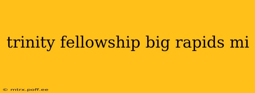 trinity fellowship big rapids mi