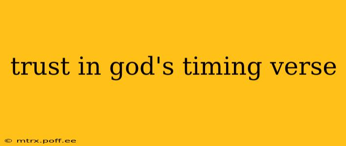 trust in god's timing verse