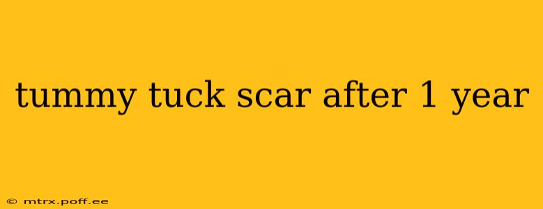 tummy tuck scar after 1 year