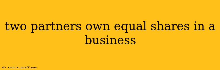 two partners own equal shares in a business