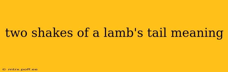 two shakes of a lamb's tail meaning