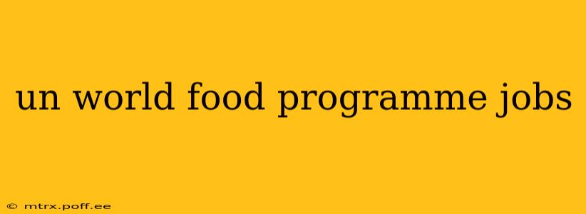 un world food programme jobs