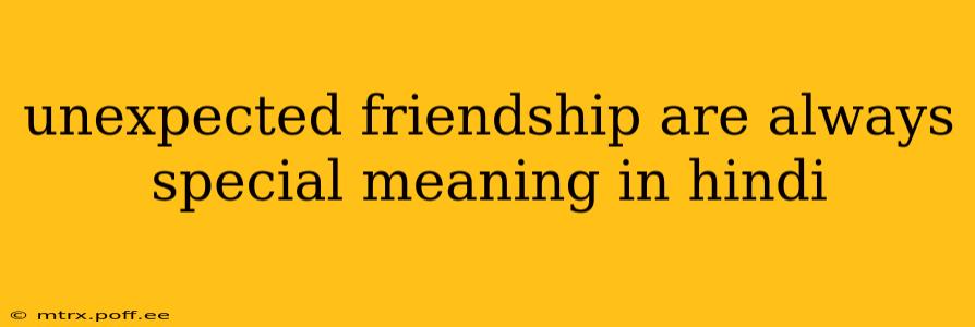 unexpected friendship are always special meaning in hindi