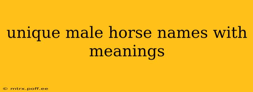 unique male horse names with meanings