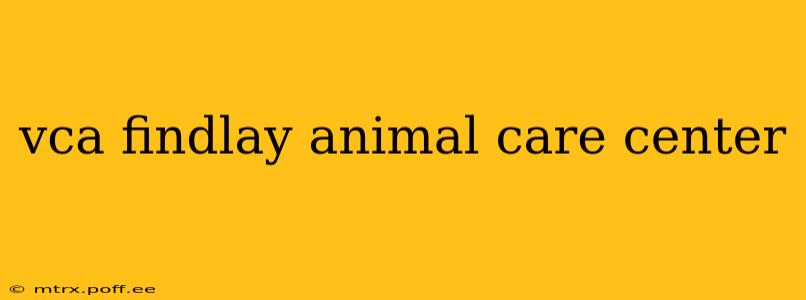 vca findlay animal care center