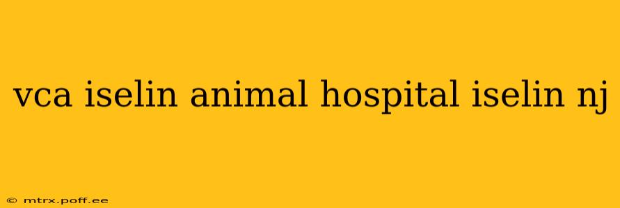 vca iselin animal hospital iselin nj