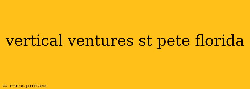 vertical ventures st pete florida