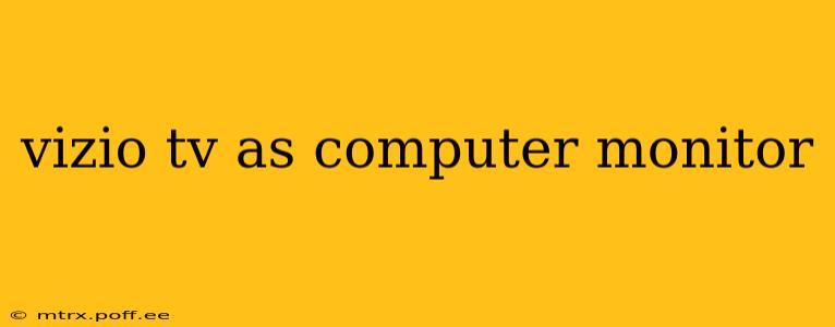 vizio tv as computer monitor