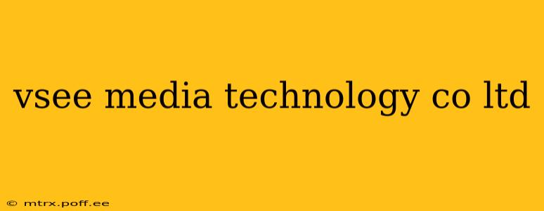 vsee media technology co ltd