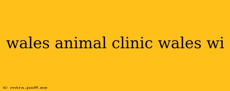 wales animal clinic wales wi