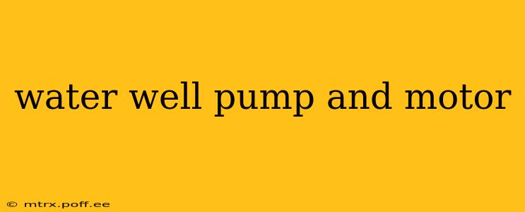 water well pump and motor