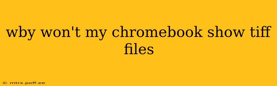 wby won't my chromebook show tiff files