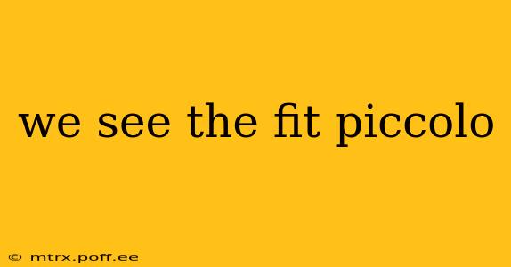 we see the fit piccolo