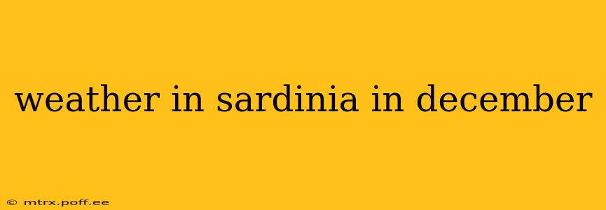 weather in sardinia in december