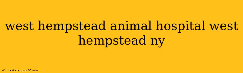 west hempstead animal hospital west hempstead ny