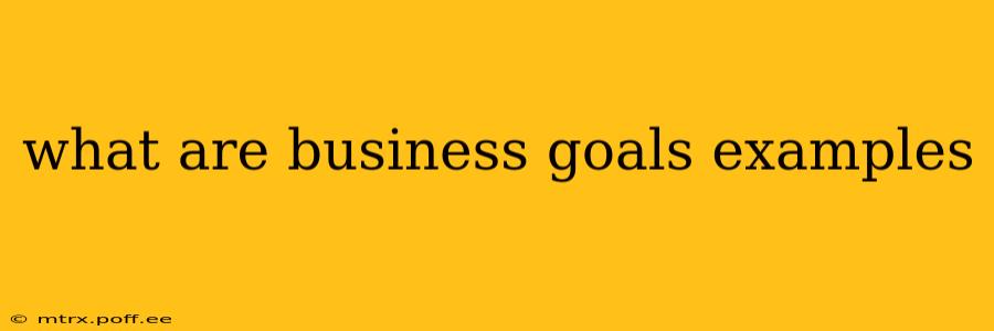 what are business goals examples