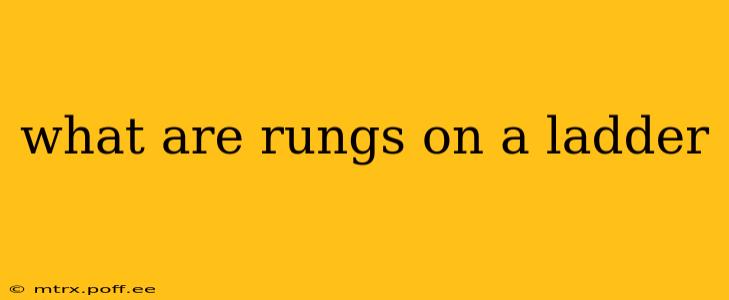 what are rungs on a ladder