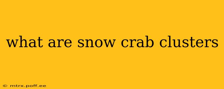 what are snow crab clusters