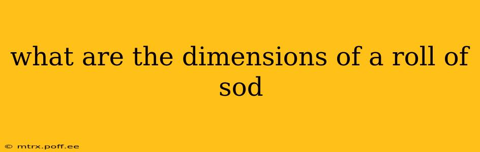 what are the dimensions of a roll of sod