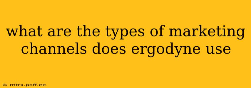 what are the types of marketing channels does ergodyne use