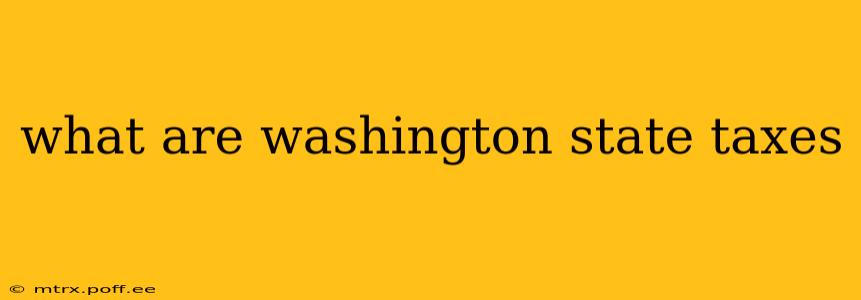 what are washington state taxes