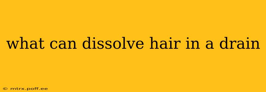 what can dissolve hair in a drain