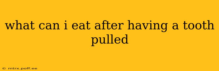 what can i eat after having a tooth pulled