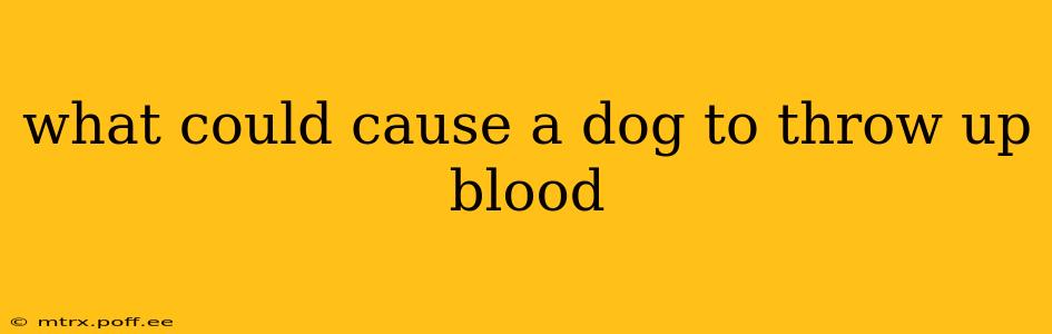 what could cause a dog to throw up blood