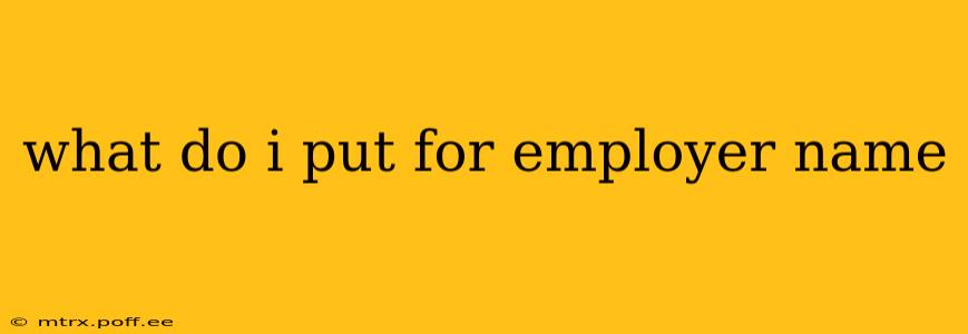 what do i put for employer name