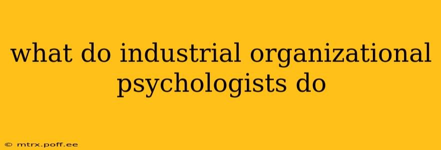 what do industrial organizational psychologists do