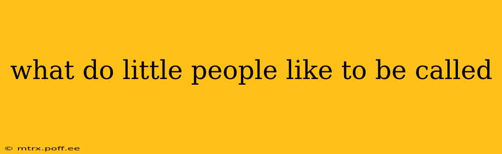 what do little people like to be called