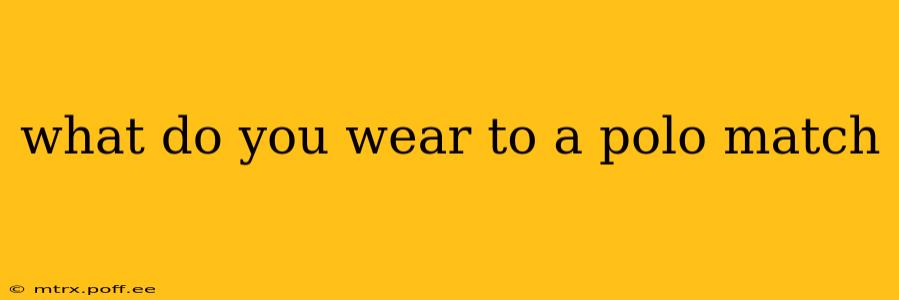 what do you wear to a polo match