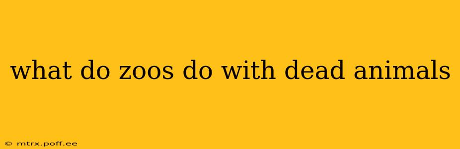 what do zoos do with dead animals