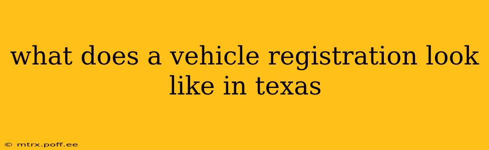 what does a vehicle registration look like in texas