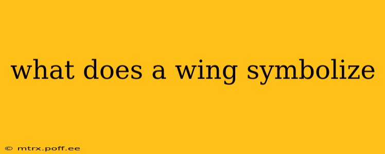what does a wing symbolize