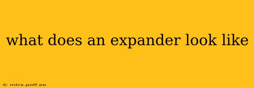 what does an expander look like