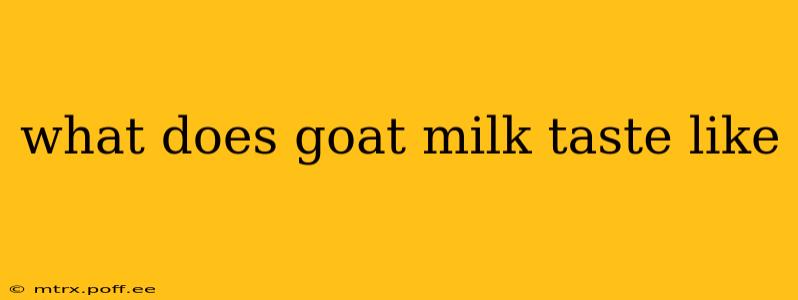 what does goat milk taste like