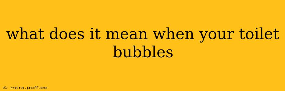 what does it mean when your toilet bubbles