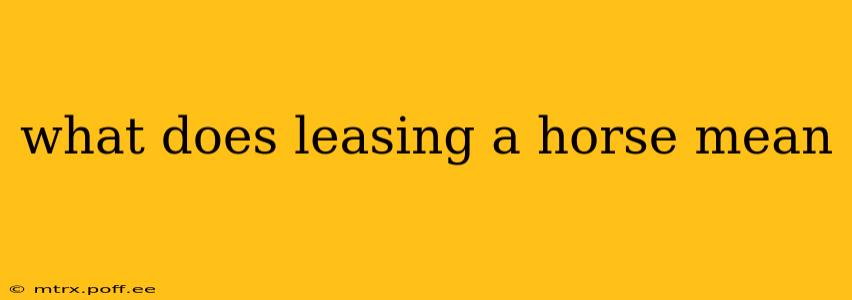 what does leasing a horse mean