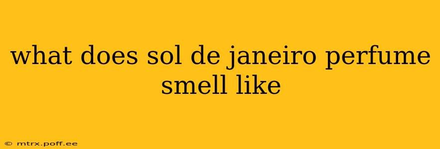 what does sol de janeiro perfume smell like