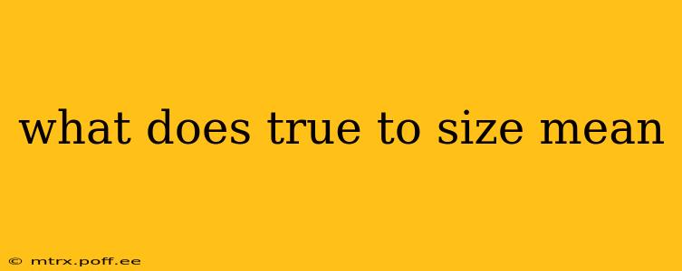 what does true to size mean