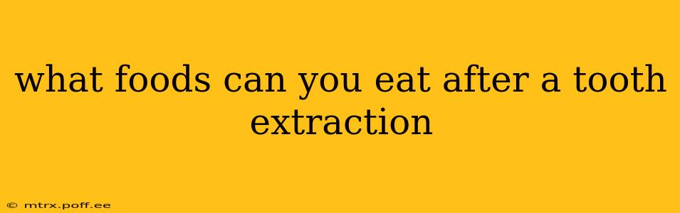 what foods can you eat after a tooth extraction