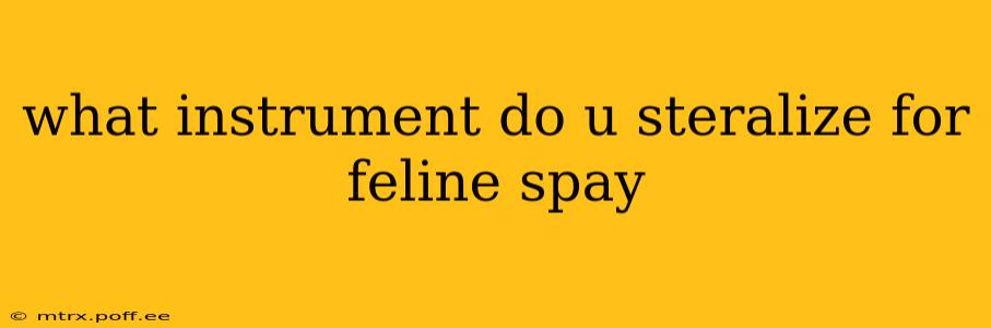 what instrument do u steralize for feline spay