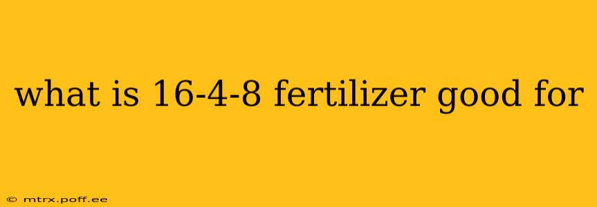what is 16-4-8 fertilizer good for