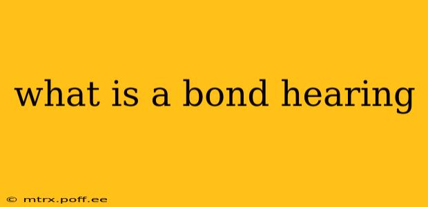 what is a bond hearing