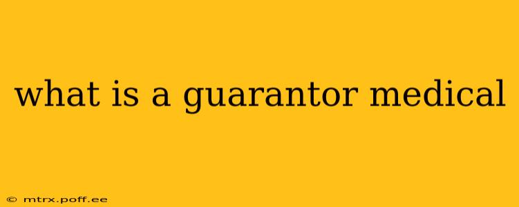 what is a guarantor medical