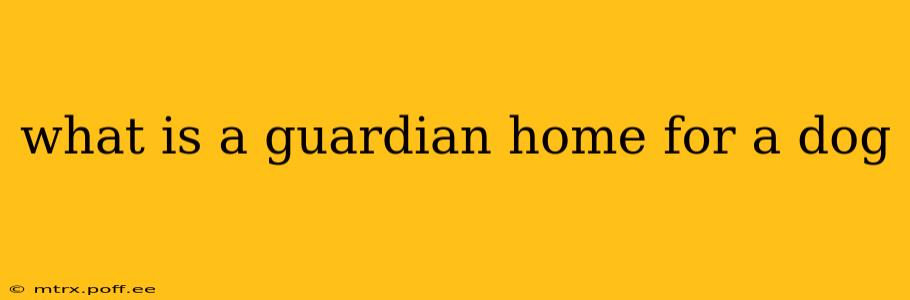 what is a guardian home for a dog