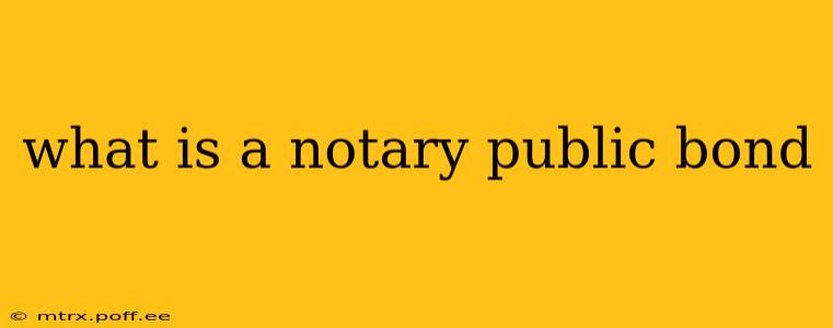 what is a notary public bond