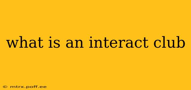 what is an interact club